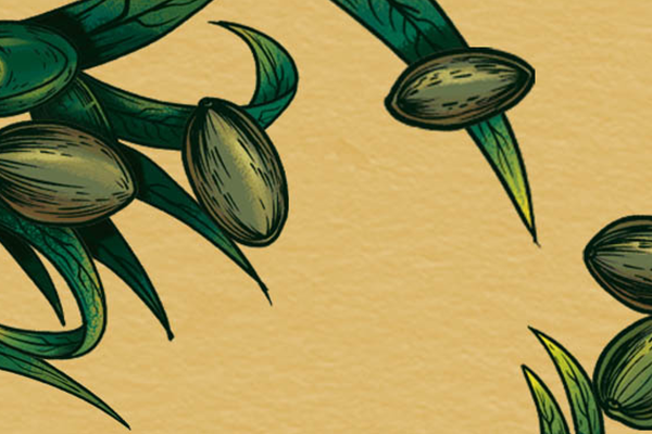 �����ƵĹ�Ч������ �����ƵĽ�����ʲô